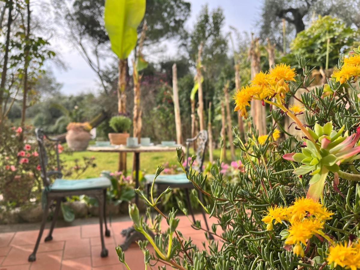 Bed and Breakfast Casa del Pino Borgo a Buggiano Esterno foto